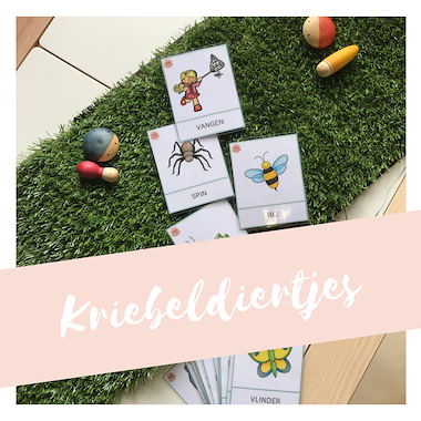 Lesmateriaal Kriebeldiertjes - basisbundel  van auteur MiaenCo slide 2