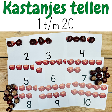 Lesmateriaal Kastanjes tellen | Herfstactiviteit kleuters peuters | 1-20 van auteur My Teacher Shares