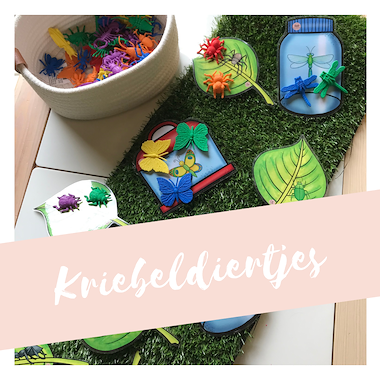 Lesmateriaal Kriebeldiertjes uitbreiding OUDSTE KLEUTERS van auteur MiaenCo slide 2