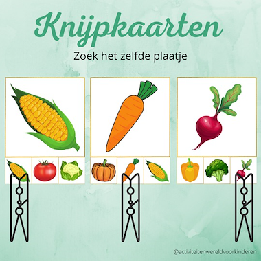 Lesmateriaal Mijn eigen moestuin - knijpkaarten zelfde groente van auteur Nanny Melissa