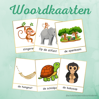 Lesmateriaal Kleine Aap - woordkaarten van auteur Nanny Melissa slide 1