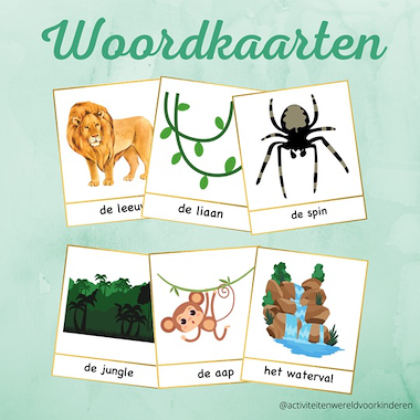 Lesmateriaal Jungle - woordkaarten van auteur Nanny Melissa