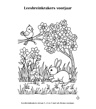 Lesmateriaal Leesbreinkrakers voorjaar van auteur Tessa Haitsma slide 3