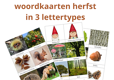 Lesmateriaal Woordkaarten en memory herfst 3 lettertypes van auteur Tine Bols slide 1