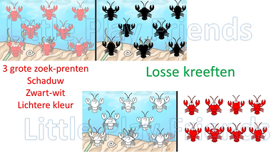 Lesmateriaal De vorm-schaduwkeeften van auteur Little Play Friends slide 2