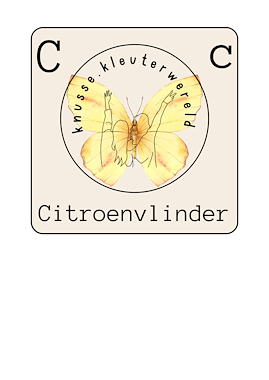 Lesmateriaal Woordkaarten dieren  van auteur knussekleuterwereld slide 3