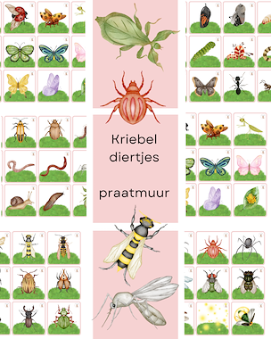 Lesmateriaal Aquarel kriebeldiertjes - 6 spelletjes van auteur Little Play Friends slide 4