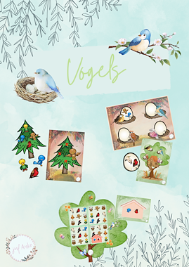 Lesmateriaal Thema: vogels (minibundel) van auteur Juf Anke