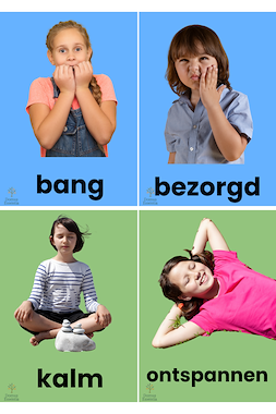 Lesmateriaal 30 emotiekaartjes voor sociaal-emotioneel leren in de klas van auteur Domus Essentia slide 3