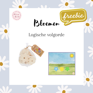 Lesmateriaal Bloemenperkje - houten figuren action  van auteur MiaenCo