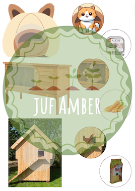 Lesmateriaal False uit de collectie Huisdieren van onderwijs lesmaterialen van auteur juf_Amber