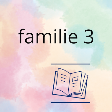 Lesmateriaal AN - mijn familie (deel 3) - werkbundel van auteur Peggy Van Rompaey
