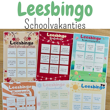 Lesmateriaal Leesbingo set schoolvakanties | leesbucketlist leesspel van auteur My Teacher Shares