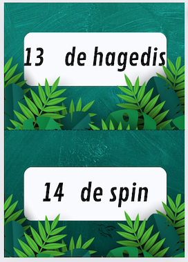 Lesmateriaal propjesdictee thema jungle van auteur Juf Kitty B slide 4