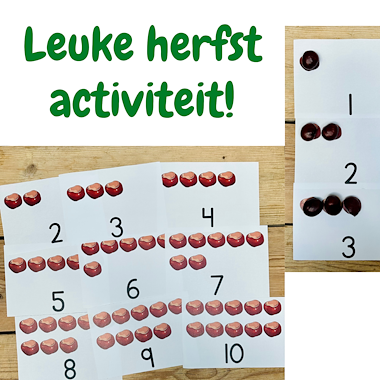 Lesmateriaal Kastanjes tellen | Herfstactiviteit kleuters peuters | 1-20 van auteur My Teacher Shares slide 3