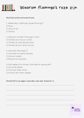 Lesmateriaal True van auteur BlaBlaBlaadje