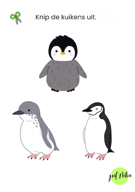 Lesmateriaal Pinguïn kuiken-match van auteur Juf Nika slide 3