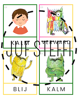 Lesmateriaal woordkaarten - het Kleurenmonster van auteur Juf Steffi