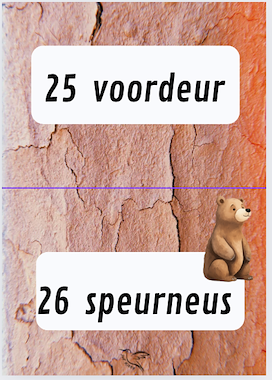 Lesmateriaal propjes dictee woorden met -eer, -oor, -eur van auteur Juf Kitty B slide 4