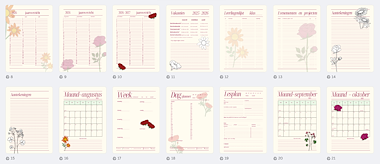 Lesmateriaal Lerarenplanner lerarenagenda bloemen aug 2025 - jan 2027 van auteur Lessen en Illustraties Elles slide 3