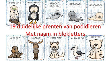 Lesmateriaal Pooldieren - bewegings-rijmspel van auteur Little Play Friends slide 2