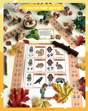 Lesmateriaal Herfst fantasiebos!  van auteur Tinnekes ontdekbundels slide 3
