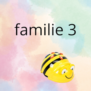 Lesmateriaal AN - mijn familie (deel 3) - spel 1: bbot van auteur Peggy Van Rompaey