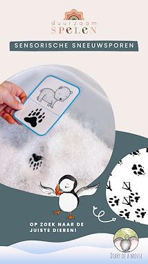 Lesmateriaal True van auteur Peggy Wijnholds