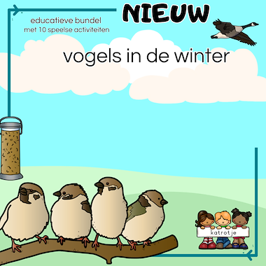 Lesmateriaal vogels in de winter van auteur katrotje