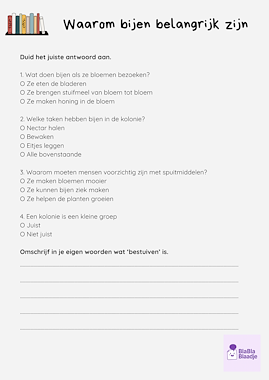 Lesmateriaal True van auteur BlaBlaBlaadje