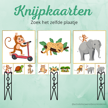 Lesmateriaal Kleine Aap - knijpkaarten zelfde plaatje van auteur Nanny Melissa slide 1