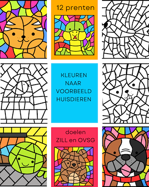 Lesmateriaal Kleuren naar voorbeeld - huisdieren  van auteur Little Play Friends slide 1