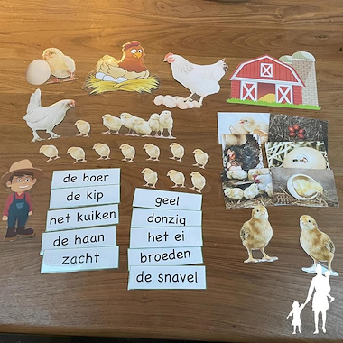Lesmateriaal False uit de collectie Thema-lente van onderwijs lesmaterialen van auteur Nanny Melissa