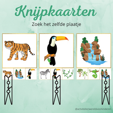 Lesmateriaal Jungle - knijpkaarten zelfde plaatje van auteur Nanny Melissa