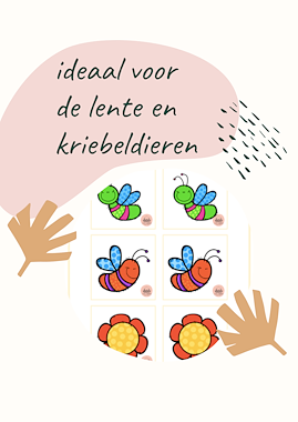 Lesmateriaal Memory - vliegen en bloemen van auteur MiaenCo slide 3