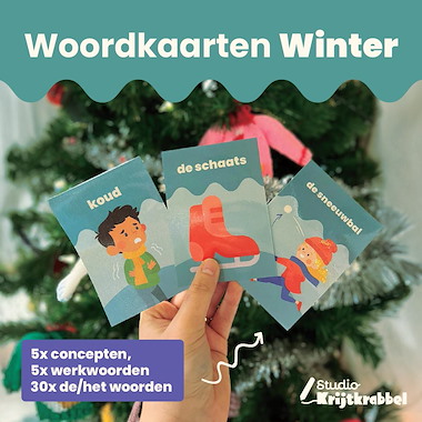 Lesmateriaal Woordkaarten Winter & Kerst | Woordkaarten voor Groep 1 en 2 van auteur Studio Krijtkrabbel