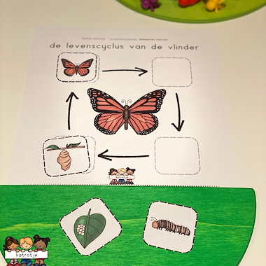 Lesmateriaal de levenscyclus van kriebeldieren van auteur katrotje slide 3