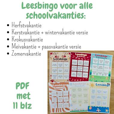 Lesmateriaal Leesbingo set schoolvakanties | leesbucketlist leesspel van auteur My Teacher Shares slide 3