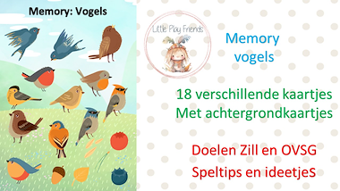 Lesmateriaal Memory vogels van auteur Little Play Friends slide 2