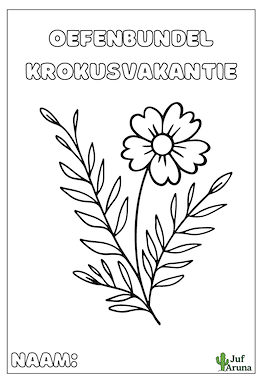 Lesmateriaal Vakantiebundel krokusvakantie van auteur Aruna_vrtngn