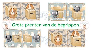 Lesmateriaal Praatmuur - begrippen: De hond en poes bij de doos van auteur Little Play Friends slide 3