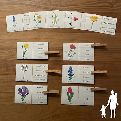 Lesmateriaal False uit de collectie Thema-lente van onderwijs lesmaterialen van auteur Nanny Melissa
