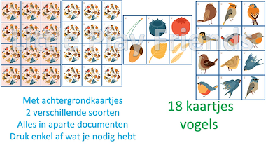 Lesmateriaal Memory vogels van auteur Little Play Friends slide 3