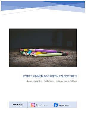 Lesmateriaal ATN - ondersteuningspakket zinnen van auteur Meester Warre slide 2