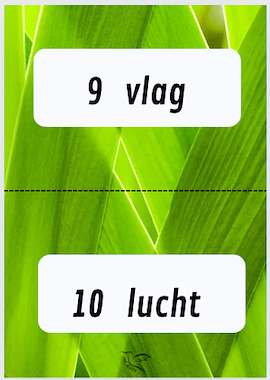 Lesmateriaal propjesdictee woorden met ch of g van auteur Juf Kitty B slide 3