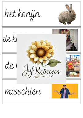 Lesmateriaal Woordenschat kaarten van auteur Juf Rebecca slide 2