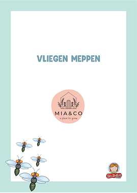 Lesmateriaal Vliegen meppen  van auteur MiaenCo slide 2
