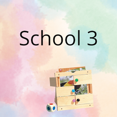 Lesmateriaal AN - de school (deel 3) - spel 10: raad het plaatje van auteur Peggy Van Rompaey
