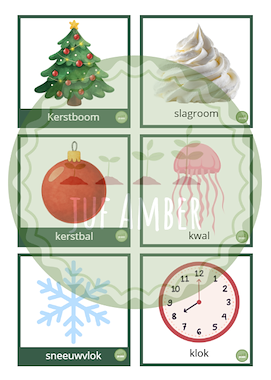 Lesmateriaal True van auteur juf_Amber