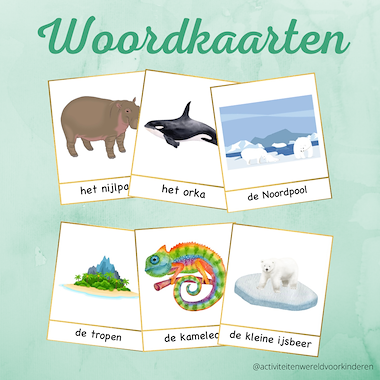 Lesmateriaal Kleine ijsbeer - Een ijsbeer in de tropen - woorkaarten van auteur Nanny Melissa